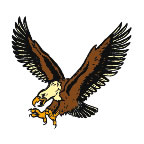 Cartoon Flying Eagle